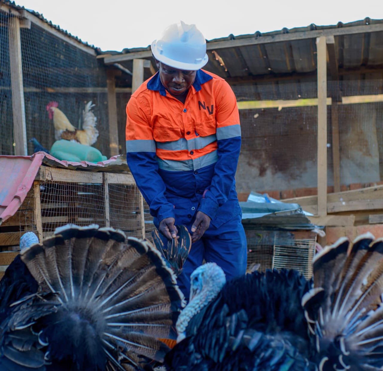 Portrait | Laurent Luwawa Nganga : l&rsquo;acteur socio-agricole de renom qui fait parler en province
