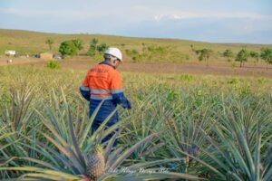 IMG-20240411-WA0048-300x200 Portrait | Laurent Luwawa Nganga : l'acteur socio-agricole de renom qui fait parler en province